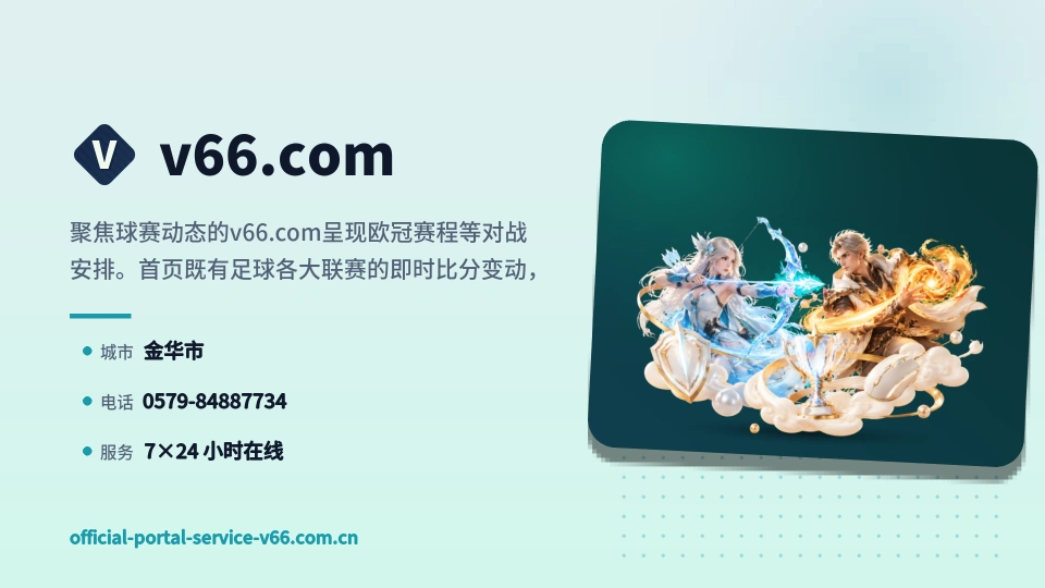 v66.com概况